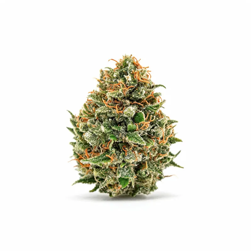 Blue Dream cannabis strain