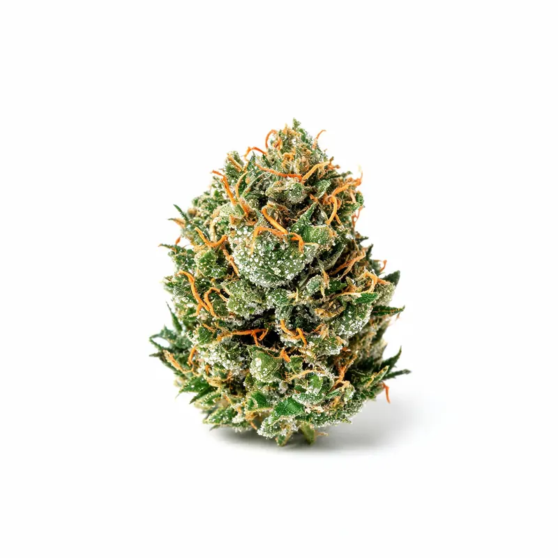 OG Kush cannabis strain
